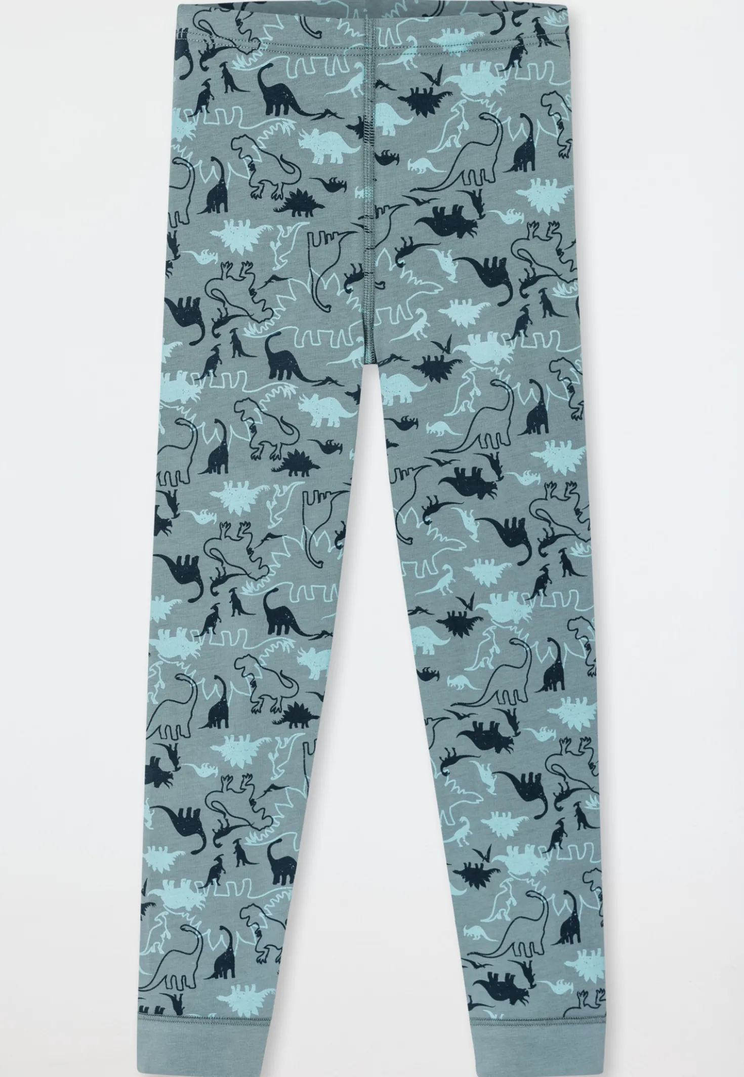Unterhose lang 2er-Pack Organic Cotton Dinos blau/ grün - 95/5